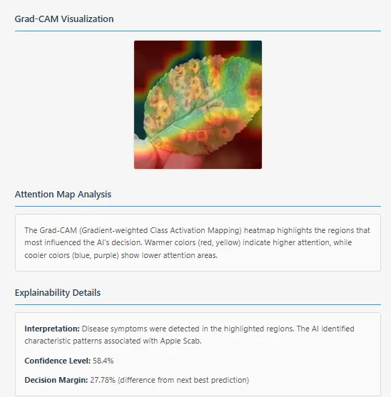 Grad-CAM Attention Map